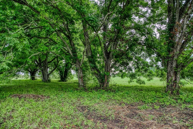 16401 Fm 1155 E, Washington, TX 77880