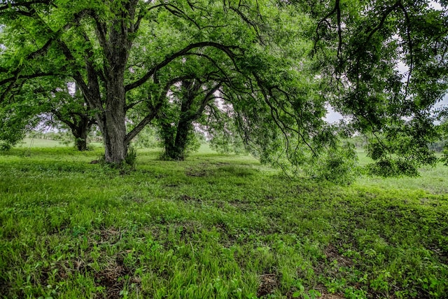 16401 Fm 1155 E, Washington, TX 77880