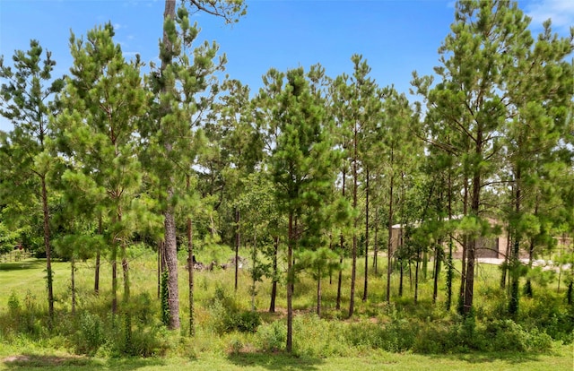 7203 Bayou Timbers Dr, Alvin, TX 77511