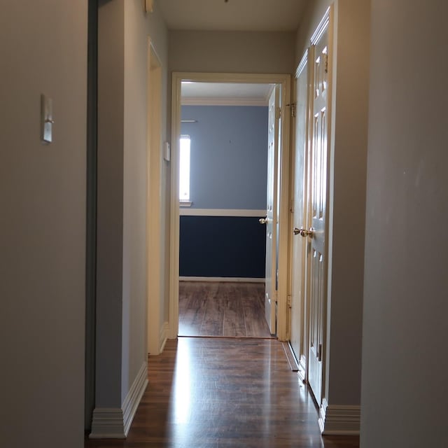 1714 Oak Ridge Dr, Kemah, TX 77565 - hallway featuring wood finished floors and crown molding