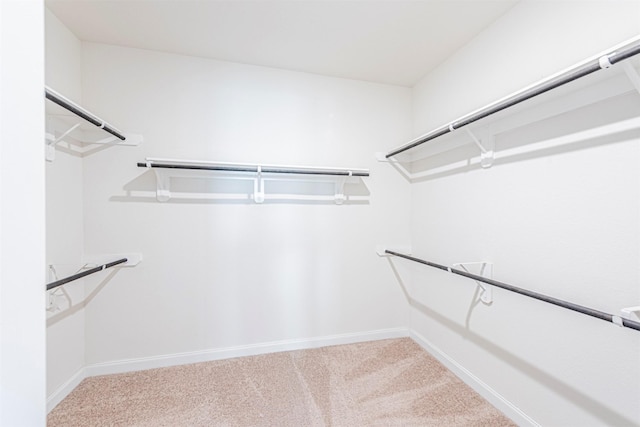 12610 Marley Hills Trl, Houston, TX 77089 - walk in closet featuring carpet flooring