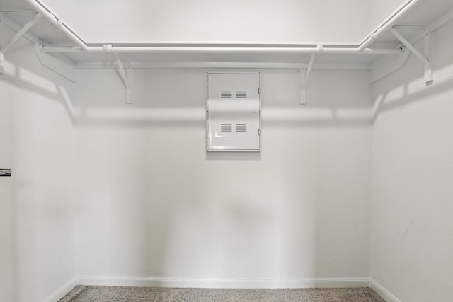 8618 Cedar Plains Ln, Houston, TX 77080 - walk in closet featuring electric panel