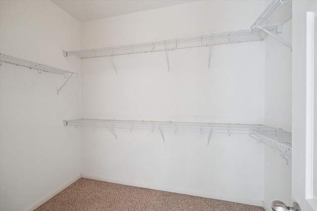 15 Sheltered Arbor Ct, The Woodlands, TX 77382 - walk in closet featuring light colored carpet