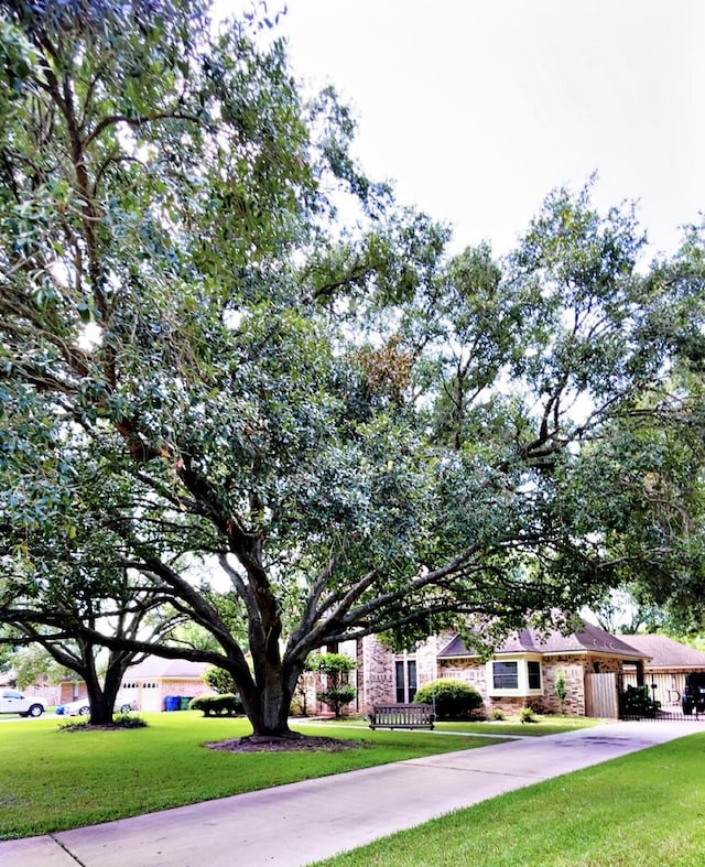 1600 Azalea St, Sweeny, TX 77480 - view of property hidden behind natural elements with a front yard, driveway, and brick siding