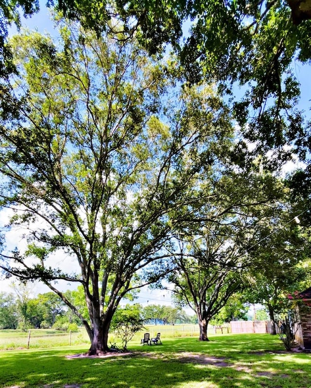 1600 Azalea St, Sweeny, TX 77480 - view of yard