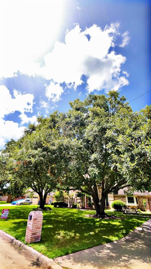 1600 Azalea St, Sweeny, TX 77480 - obstructed view of property with a front yard
