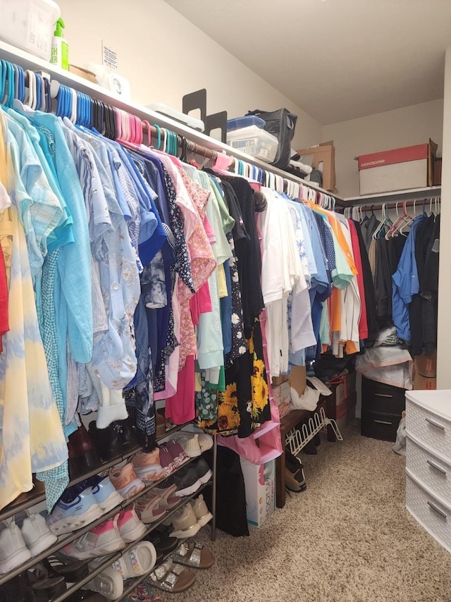 3514 Tulip Trace Dr, Spring, TX 77386 - walk in closet featuring carpet