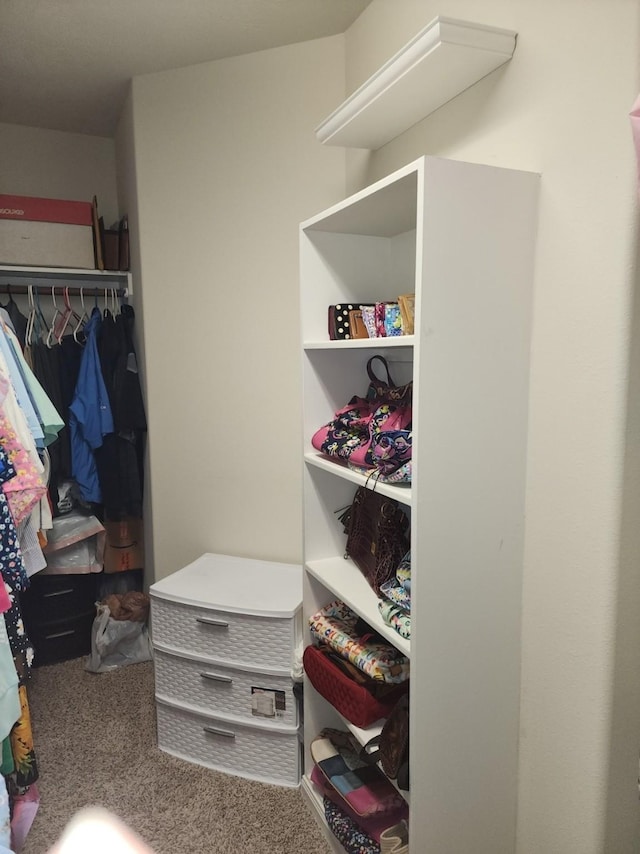 3514 Tulip Trace Dr, Spring, TX 77386 - spacious closet with carpet