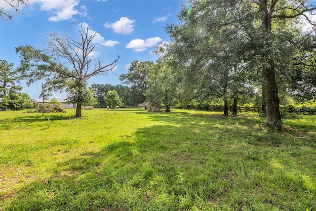 1019 Towering Oaks St, Magnolia, TX 77355 - view of green lawn