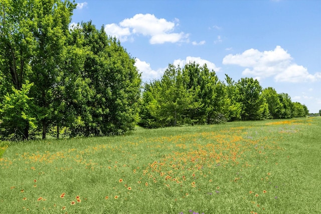 11014 Bakerwood Dr, Houston, TX 77064 - view of undeveloped land