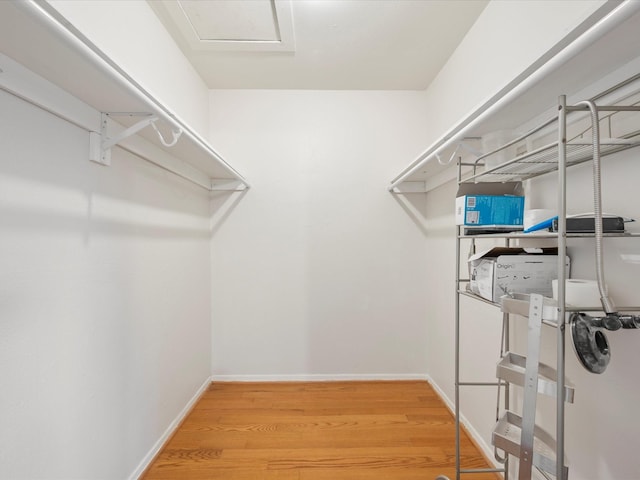 515 Tallowood Rd Unit 61, Houston, TX 77024 - photo 22