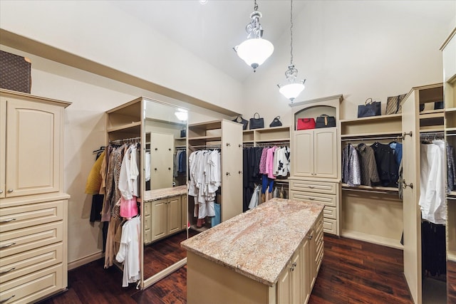 15611 Oyster Cove Dr, Sugar Land, TX 77478 - spacious closet with dark wood-style floors and high vaulted ceiling