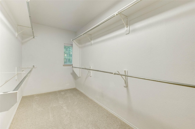10235 Sugarbridge Trl, Sugar Land, TX 77498 - photo 26
