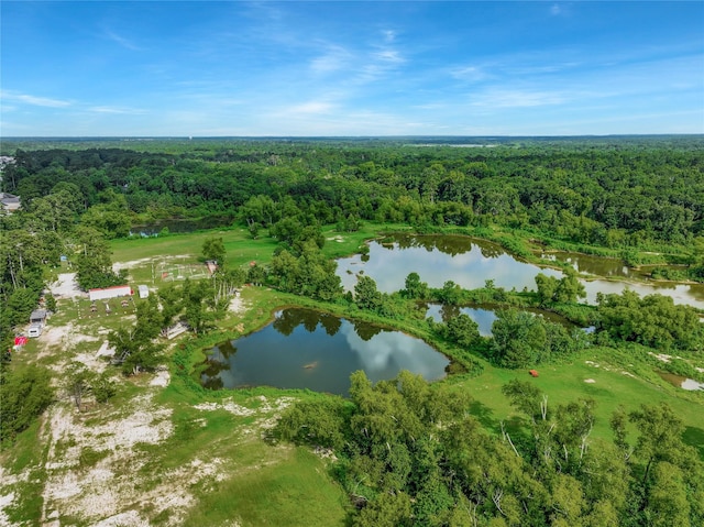 15859 Needham Rd, Conroe, TX 77385