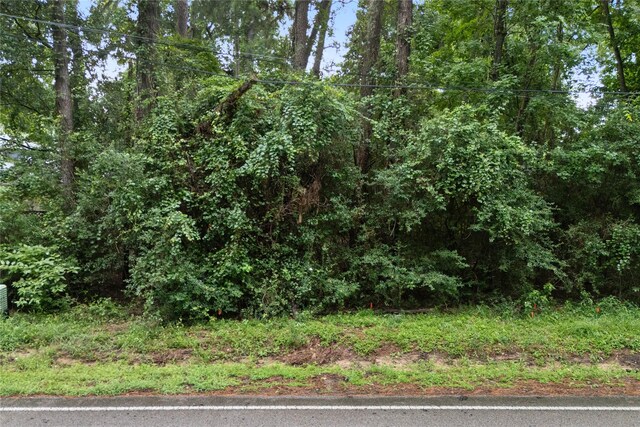 TBD Teel Rd, Montgomery, TX 77356 - photo 13