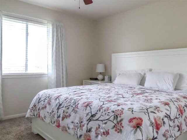 8827 Shady Green Mdws, Houston, TX 77083 - photo 25