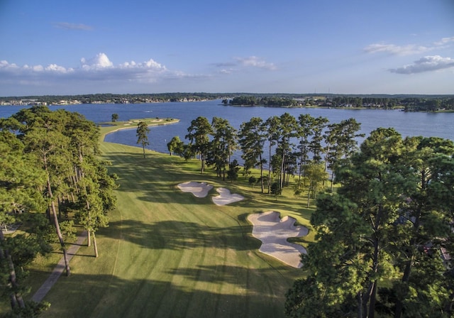 3031 Lake Island Dr, Montgomery, TX 77356 - photo 49