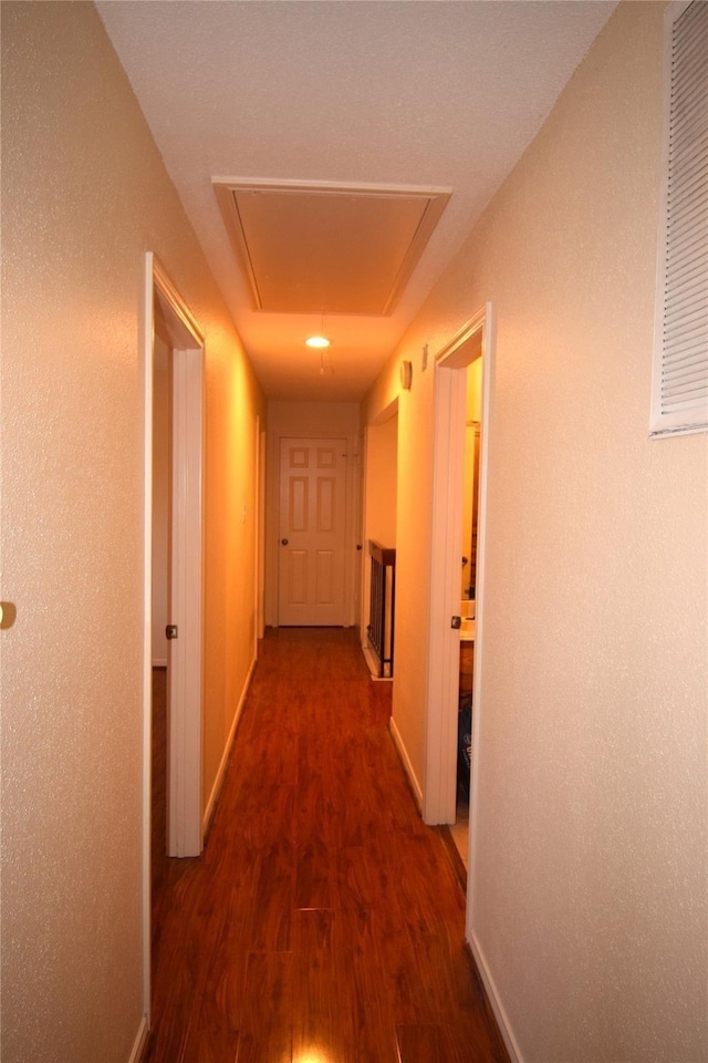 2926 Field Line Dr, Sugar Land, TX 77479 - hall featuring attic access and dark wood-style flooring