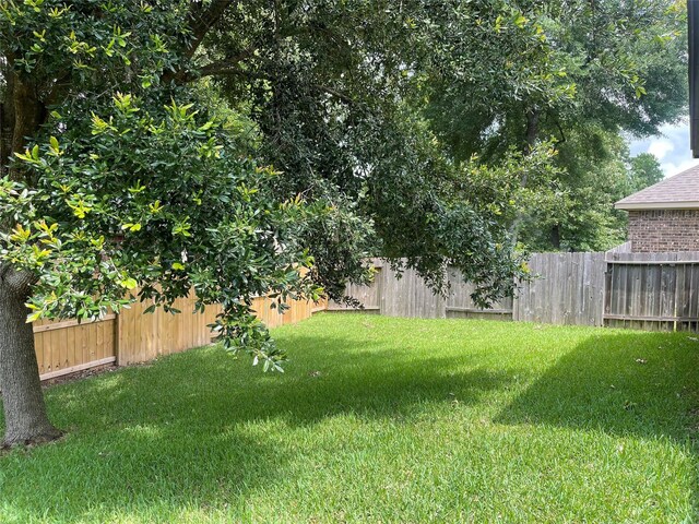2406 Winter Trail Dr, Conroe, TX 77304 - photo 12
