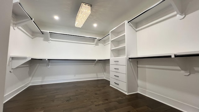 2823 Stetson Ln, Houston, TX 77043 - walk in closet with dark wood-style floors