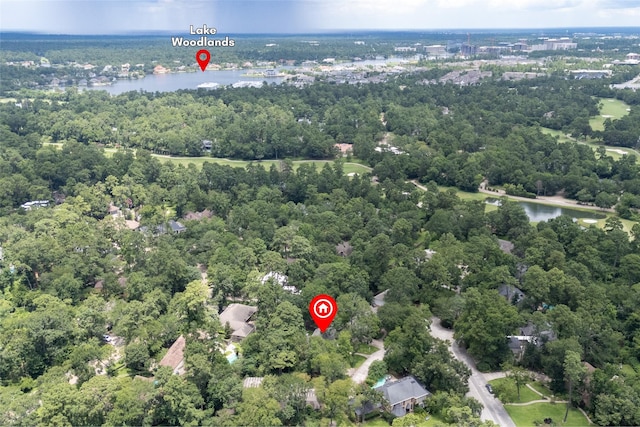 10807 Colony Wood Pl, Spring, TX 77380 - photo 36