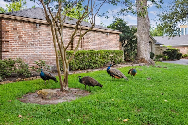 10002 Wickersham Ln, Houston, TX 77042 - photo 25