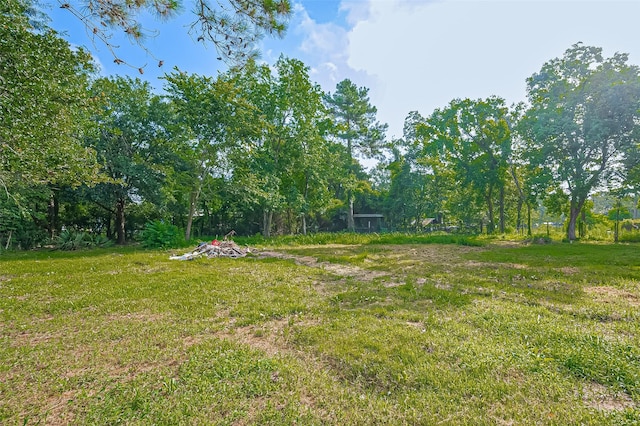 19910 Turtle Creek Ln, Magnolia, TX 77355 - photo 25