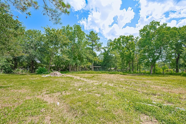 19910 Turtle Creek Ln, Magnolia, TX 77355 - photo 26