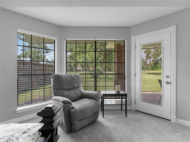 2221 Lake Forrest Dr, West Columbia, TX 77486 - photo 14