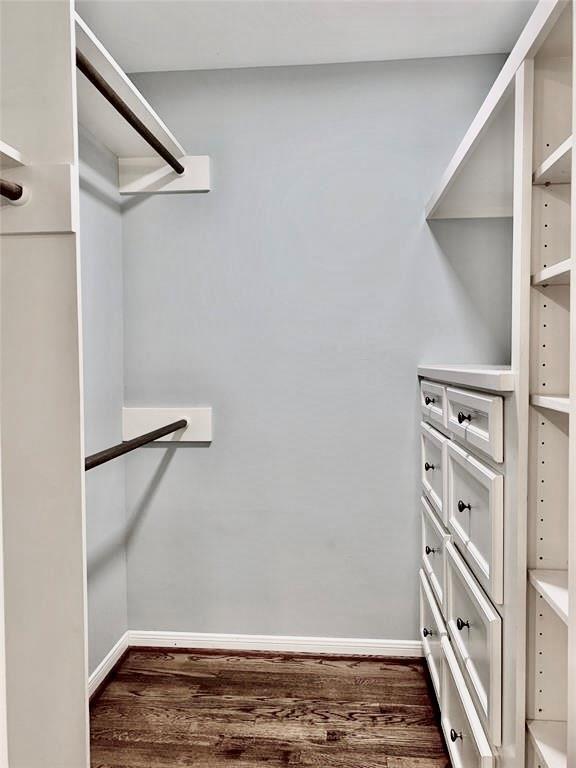142 Beverly Ln, Bellaire, TX 77401 - walk in closet with dark wood-style flooring