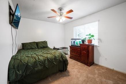 12629 Dover Dr, Montgomery, TX 77356 - photo 34