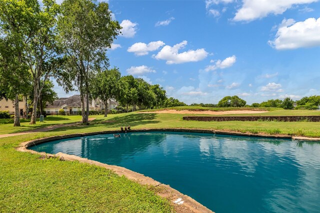 2223 Ridge Wood Ln, Sugar Land, TX 77479 - view of swimming pool featuring a lawn