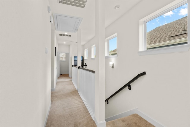 3207 Cedar Dawn Ln, Houston, TX 77091 - corridor with attic access, an upstairs landing, and light colored carpet
