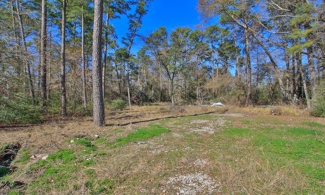 22475 Adams St, Porter, TX 77365