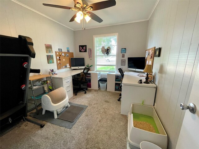 321 Candy St, El Campo, TX 77437 - photo 16