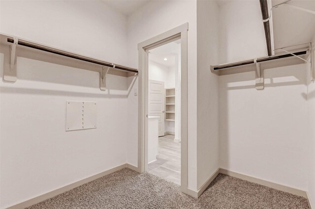 3026 Stock Orchard Ln, Houston, TX 77047 - walk in closet featuring light colored carpet