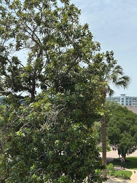 40 N Interstate 35 Unit 3D3, Austin, TX 78701 - view of undeveloped land