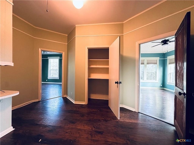 1002 E Gonzales St, Yoakum, TX 77995 - hall featuring wood finished floors, healthy amount of natural light, and ornamental molding