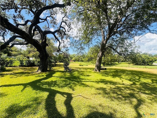 1002 E Gonzales St, Yoakum, TX 77995 - view of green lawn