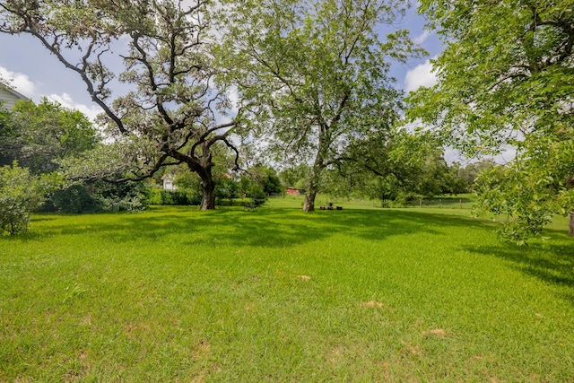 1002 E Gonzales St, Yoakum, TX 77995 - view of green lawn