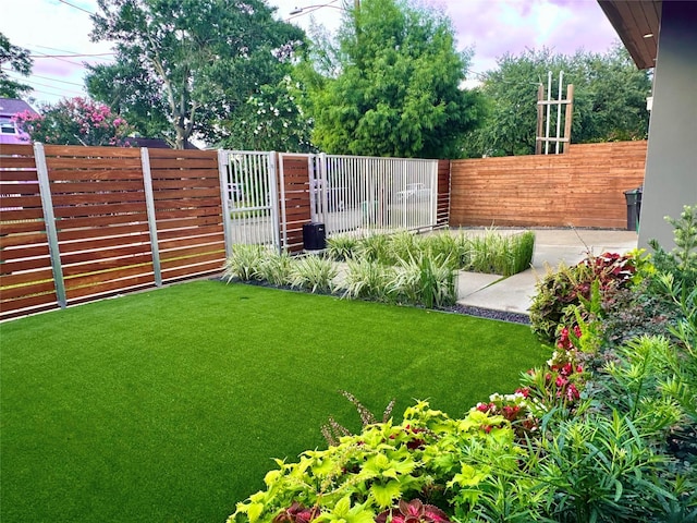 909 Peden St, Houston, TX 77006 - view of yard