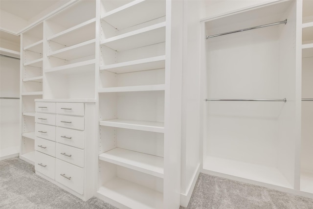 909 Peden St, Houston, TX 77006 - spacious closet with carpet