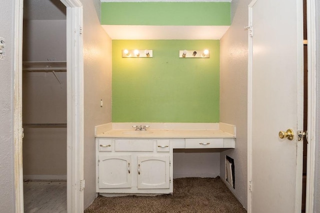 12254 Wild Pine Dr Unit A, Houston, TX 77039 - bathroom featuring vanity and a spacious closet
