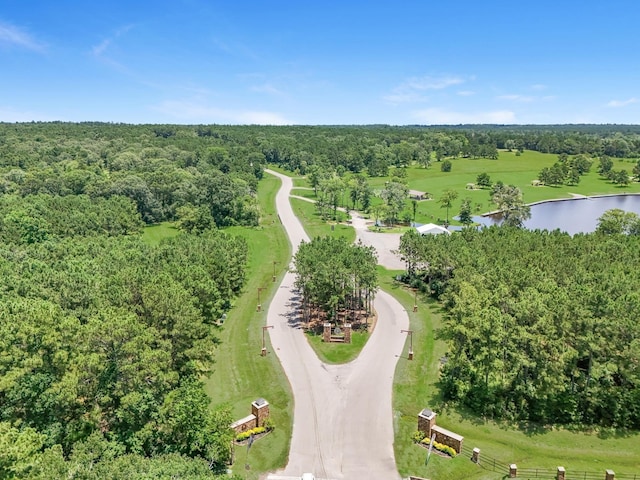 15631 Forest Grove Dr, Willis, TX 77378 - photo 6