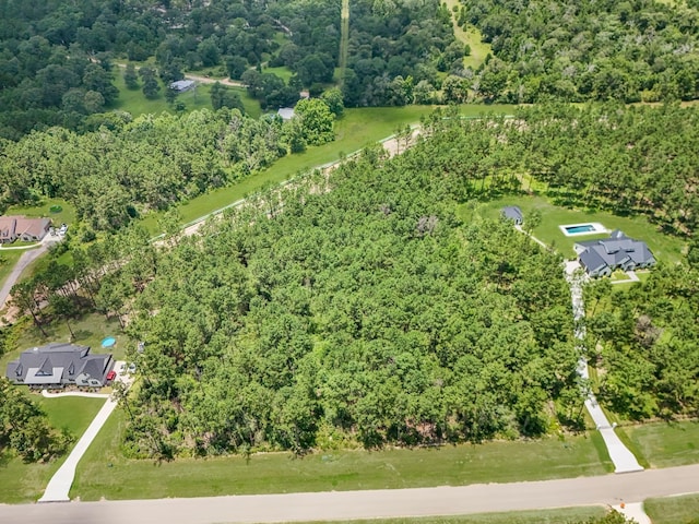 15631 Forest Grove Dr, Willis, TX 77378 - photo 8