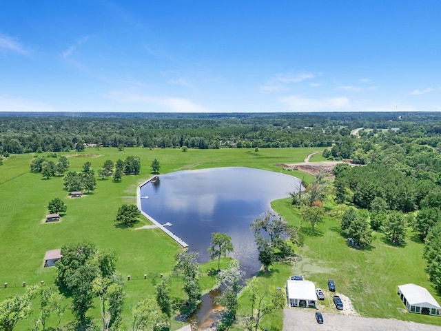 15631 Forest Grove Dr, Willis, TX 77378 - photo 12