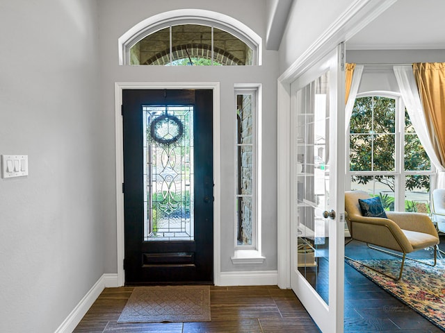 4006 Trento Ct, Katy, TX 77493 - entrance foyer featuring plenty of natural light and dark wood-style floors
