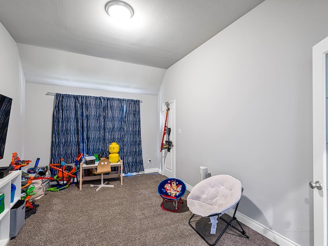 4006 Trento Ct, Katy, TX 77493 - playroom with carpet floors and lofted ceiling
