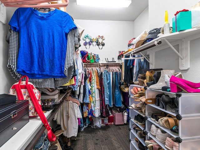 4006 Trento Ct, Katy, TX 77493 - walk in closet featuring wood finished floors