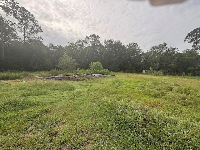 719 County Road 412, Dayton, TX 77535 - photo 8